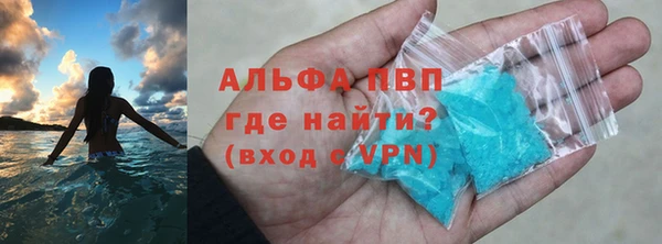 соль ск Новодвинск