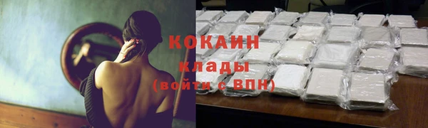 соль ск Новозыбков