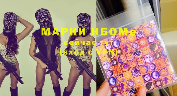 соль ск Новозыбков