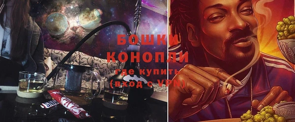 соль ск Новодвинск