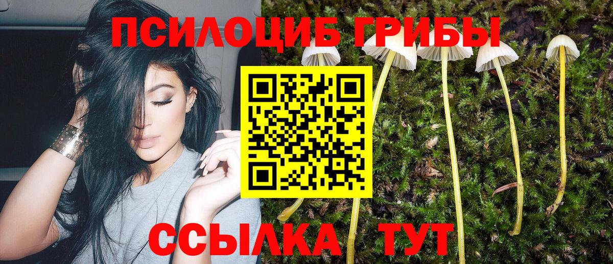 Псилоцибиновые грибы ЛСД Красноармейск