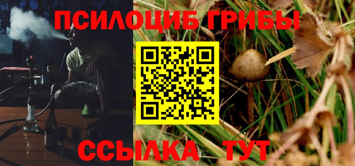 Галлюциногенные грибы Psilocybine cubensis  Вход с VPN  Красноармейск 